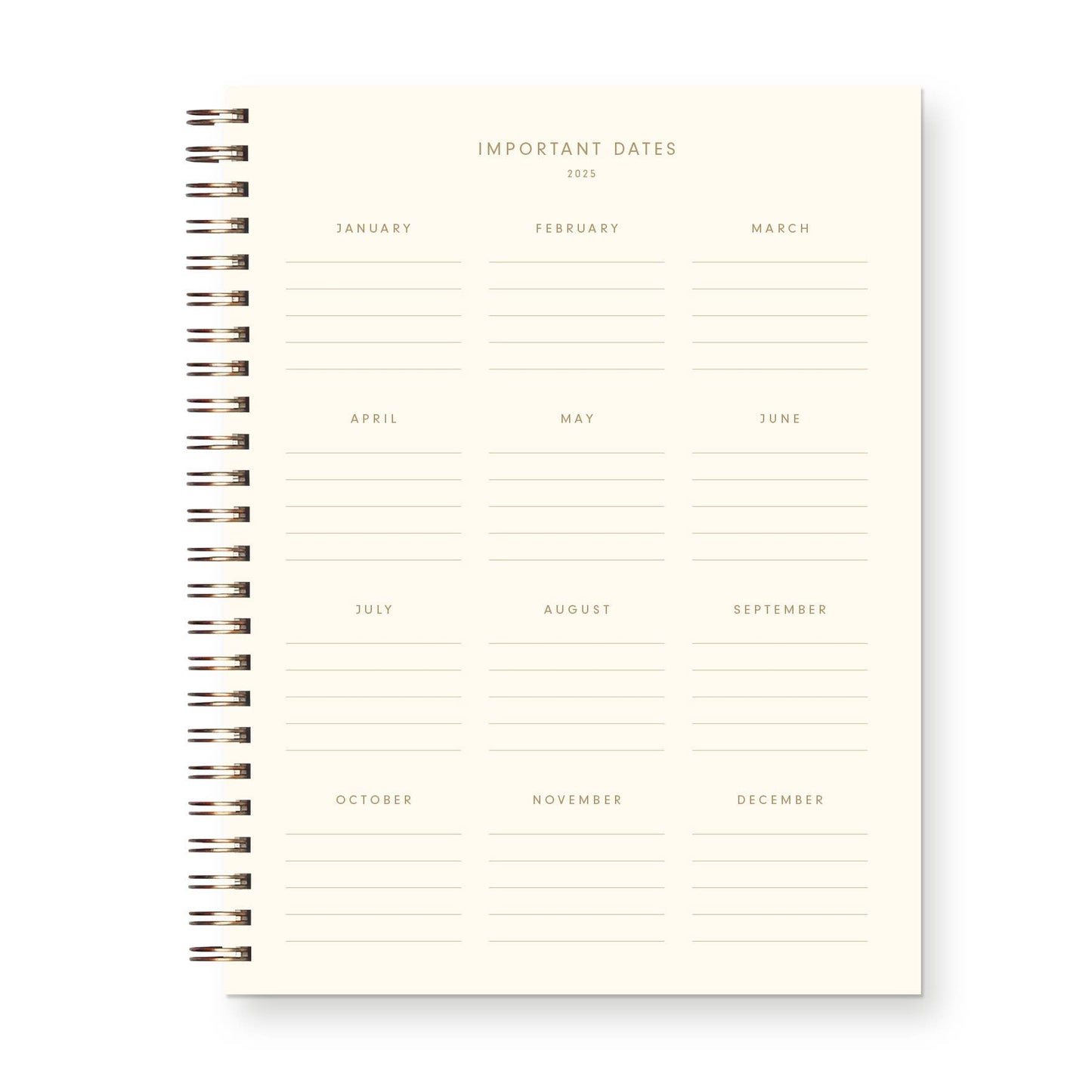2025 Retro Dated Weekly Planner : Calendar Year