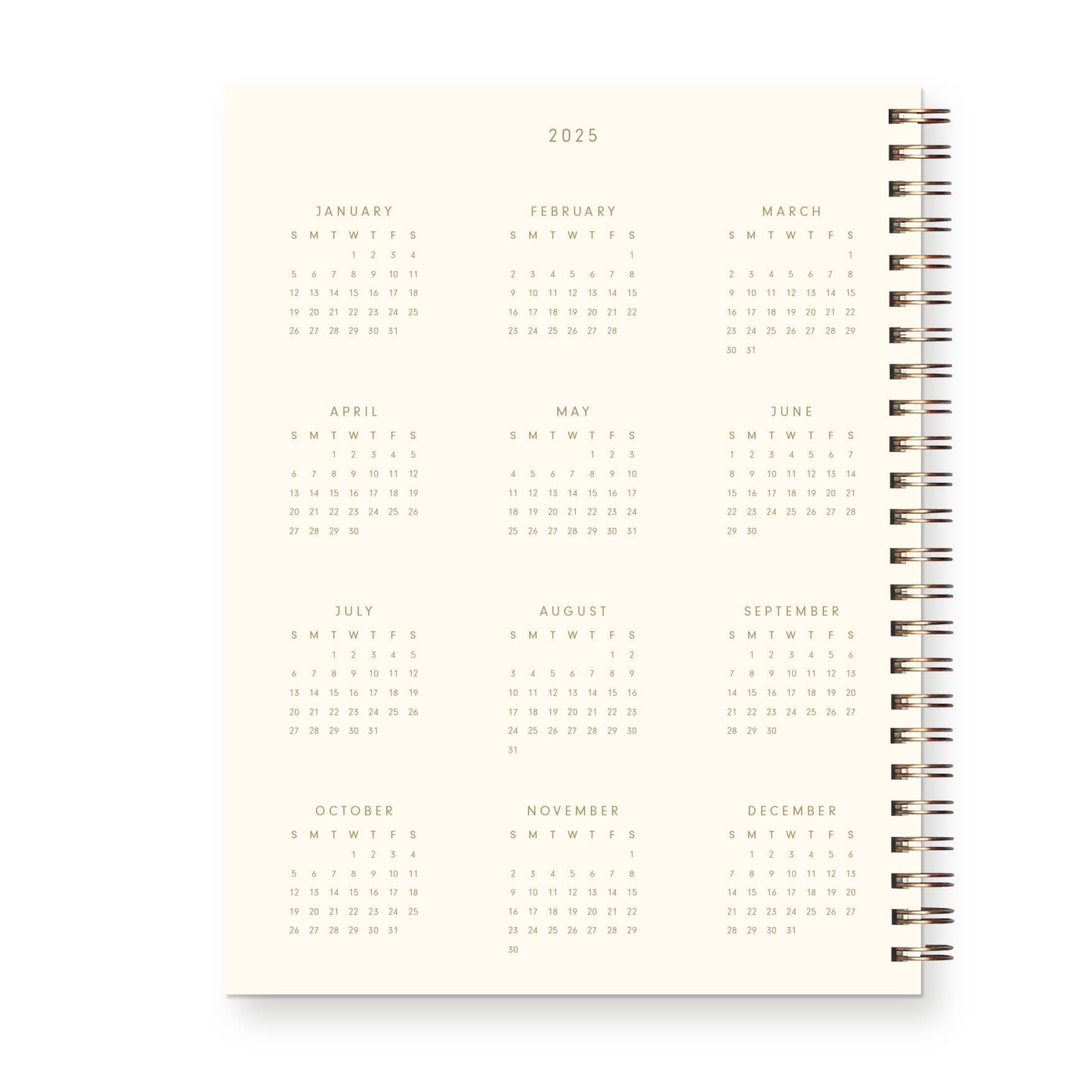 2025 Retro Dated Weekly Planner : Calendar Year