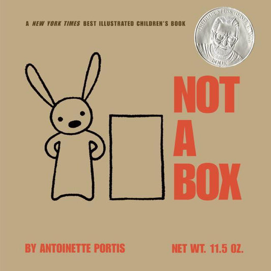 Not a Box - Ingram